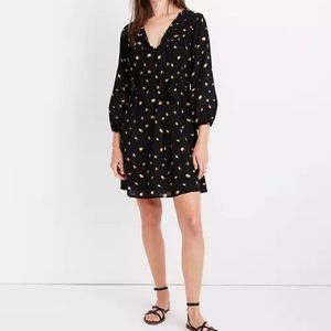 NWOT Madewell French Daisies Dress